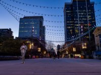 Week 13 - Night Sky 4.jpg