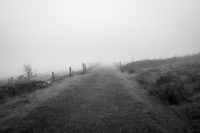 002 Dismantled Railway (Routrundle) 01-0369 PS Adj Upload.jpg