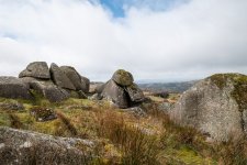 018 Fur Tor (Walkhampton) 01-3656 PS Adj Upload.jpg