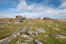 023 Leeden Tor 03-3657 PS Adj Upload.jpg