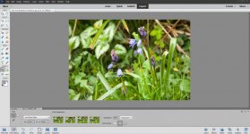 Screenshot 2026-04-07 174714.jpg