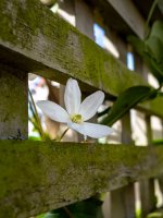 Week 14 - Snapper's 6.jpg