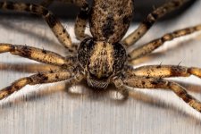 2026-04-10 09.24.14.jpg