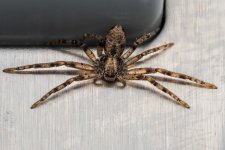 2026-04-10 09.25.35.jpg