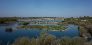 Snapper's Choice-2.jpg