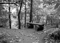 Corot Woodland Bench Mono.jpg