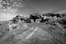 007 Nat Tor 02-1000556 PS Adj Upload.jpg