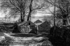 020 Nattor Farm 02-2000269 PS Adj Upload.jpg