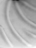 Week 15 - Morning Rituals 5.jpg