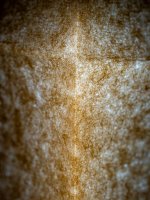 Week 15 - Morning Rituals 6.jpg