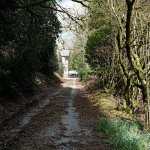 DSCF0890 PS Adj Upload.jpg