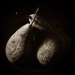 2016-4,TS, RZ67,  FP4+, Firstcall dev 18c 5m 11s Jobo, 001-Edit.jpg