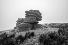 017 Little Mis Tor 05-3698 PS Adj Upload.jpg