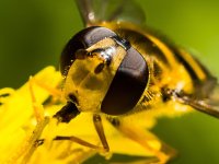 2026-04-21 12.29.36.jpg