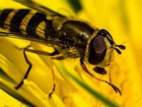 2026-04-21 12.28.50.jpg