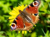 2026-04-21 12.20.10.jpg