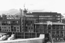 Skyline-4.jpg