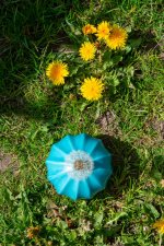 week 17 - Unexpected perspective.jpg
