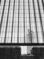 Week 17 - Perspectives 2.jpg Week 17 - Perspectives 2.jpg