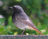 DSC07327-a7r22-L180-8-c.jpg