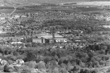View from the top.jpg
