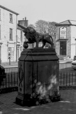 Lion.jpg