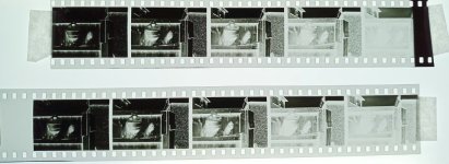 SHD50Lightbox.jpg