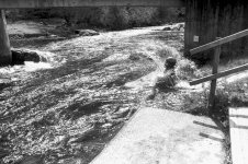 River.jpg