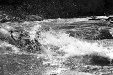 River-3.jpg