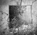Ruins2.jpg