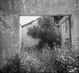 Ruins.jpg