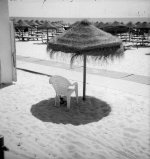 SunShade.jpg