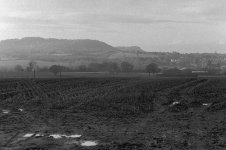 Muddy field.jpg