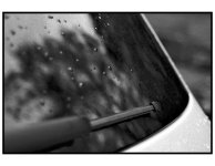 Wet.jpg Wet.jpg
