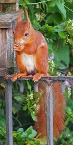 DSC07405-a7r22-L901-c.jpg