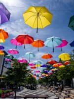Week 19 - Colour Contrast 4.jpg
