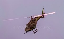 IMG_0191.jpeg