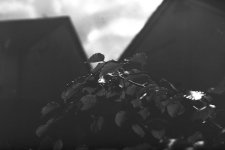 SHD50-7.jpg SHD50-7.jpg