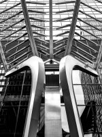 Week 20 - Geometry 4.jpg