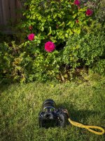 My Hobby.jpeg