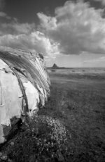 2013-6-15, Holga WPC, TMax100, Holy Island, FD10 1+9 11mins, 003.jpg