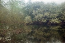 001980180021.jpg