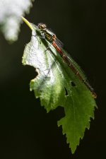 DSC_0067.jpg DSC_0067.jpg