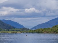 MayAviemore-5.jpg MayAviemore-5.jpg
