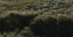DSC01040-C.jpg