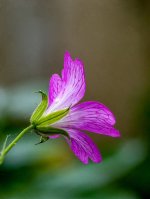 Week 21 - Hobbies 1.jpg Week 21 - Hobbies 1.jpg