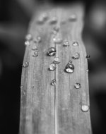 Week 21 - Hobbies 4.jpg Week 21 - Hobbies 4.jpg