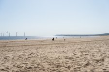 DSC03105.jpg