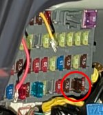 closeup.jpg closeup.jpg