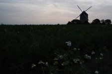 DSC02355_stack_2.jpeg